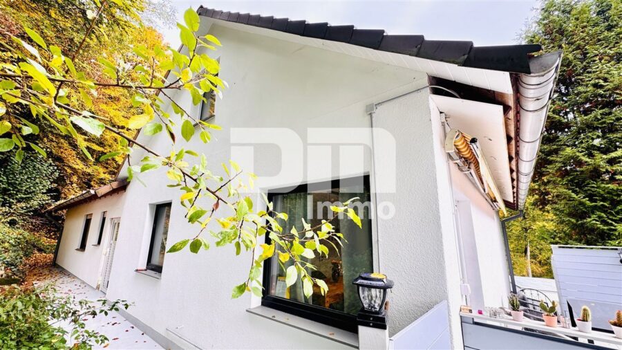 Umfassend saniertes Ein- Zweifamilienhaus auf großem Grundstück in Traumlage - Rückansicht